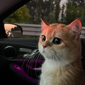 欧美色美色综合图
