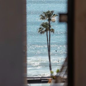 欧美色美色综合图
